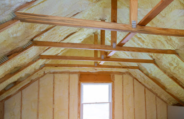 Best Wall Insulation Contractor  in Mount Clemens, MI