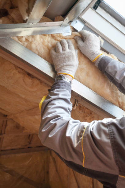 Best Blown-in Insulation  in Mount Clemens, MI