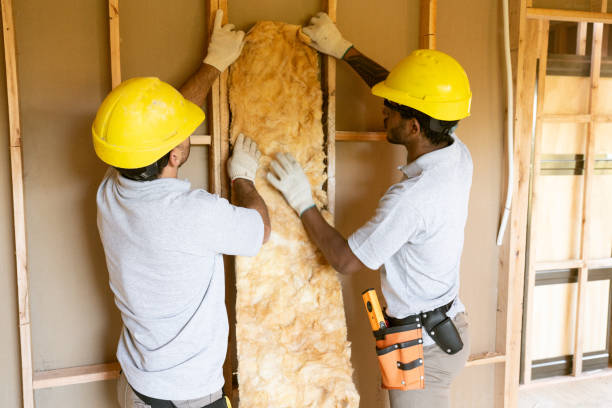 Best Best Insulation Companies  in Mount Clemens, MI