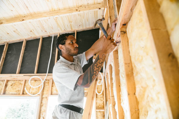 Best Insulation Replacement Services  in Mount Clemens, MI