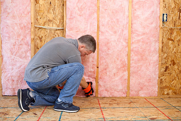 Insulation Inspection Services in Mount Clemens, MI