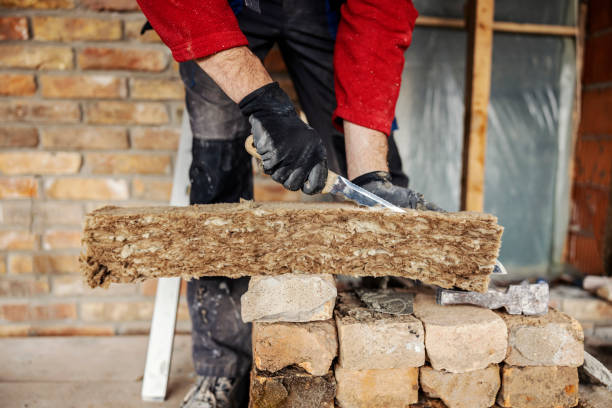 Best Local Insulation Services  in Mount Clemens, MI